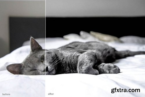 CreativeMarket MINIMAL BLOGGER LIGHTROOM PRESET 2187140