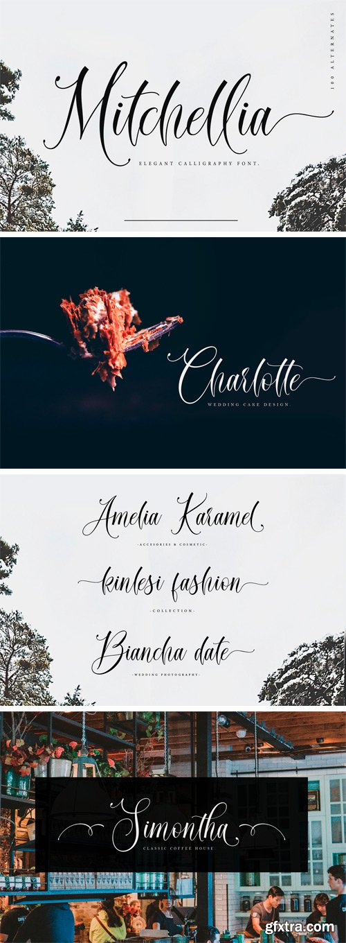 Mitchellia Script Font