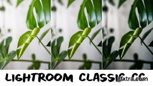 Lightroom Classic CC: Total Beginner Walkthrough