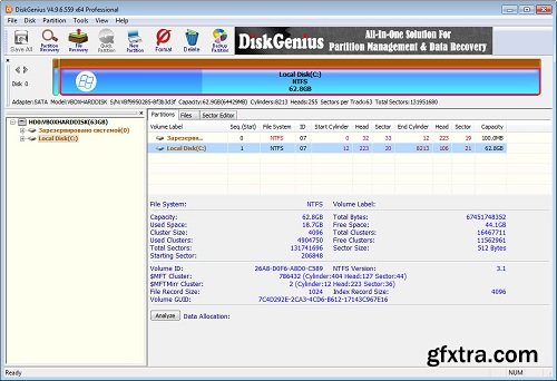 DiskGenius Professional 5.6.0.1565 Multilingual