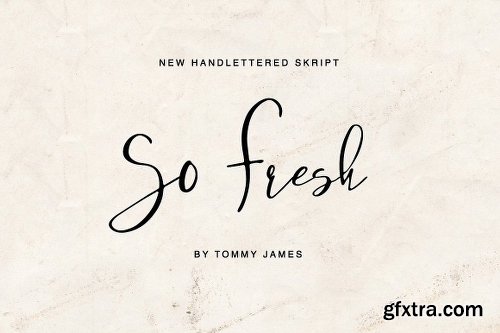 CreativeMarket So Fresh 2387028