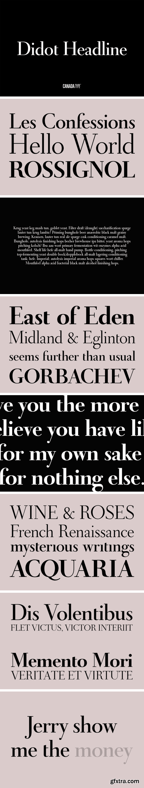 Didot Headline Font Family