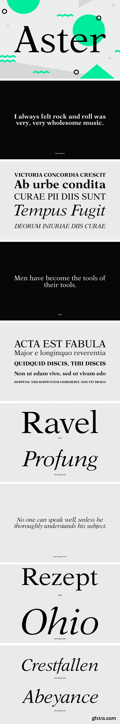 Aster Font Family