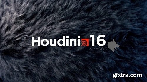 SideFX Houdini FX 16.5.536