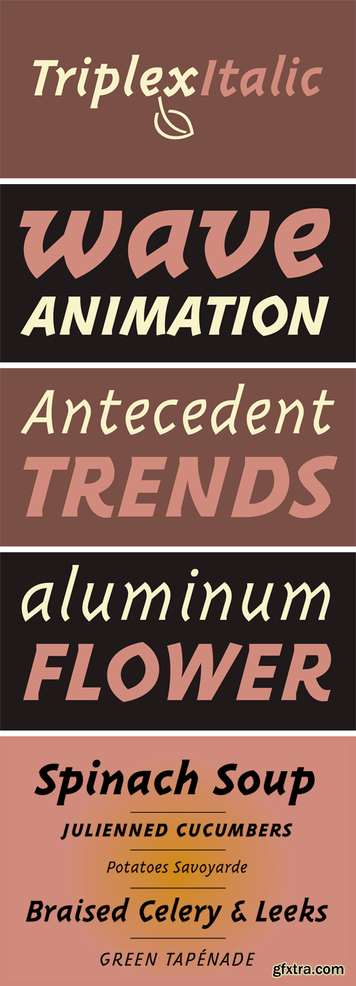 Triplex Italic Font Family