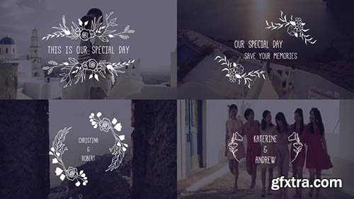 Clean Wedding Titles - After Effects 125344