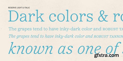 Reserve Font Family - 25 Fonts