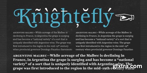 Reserve Font Family - 25 Fonts