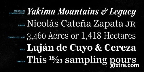 Reserve Font Family - 25 Fonts