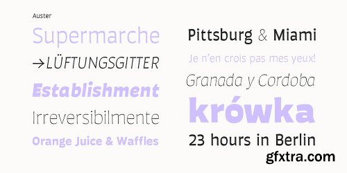 Auster Font Family - 20 Fonts