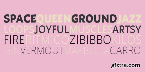 Auster Font Family - 20 Fonts