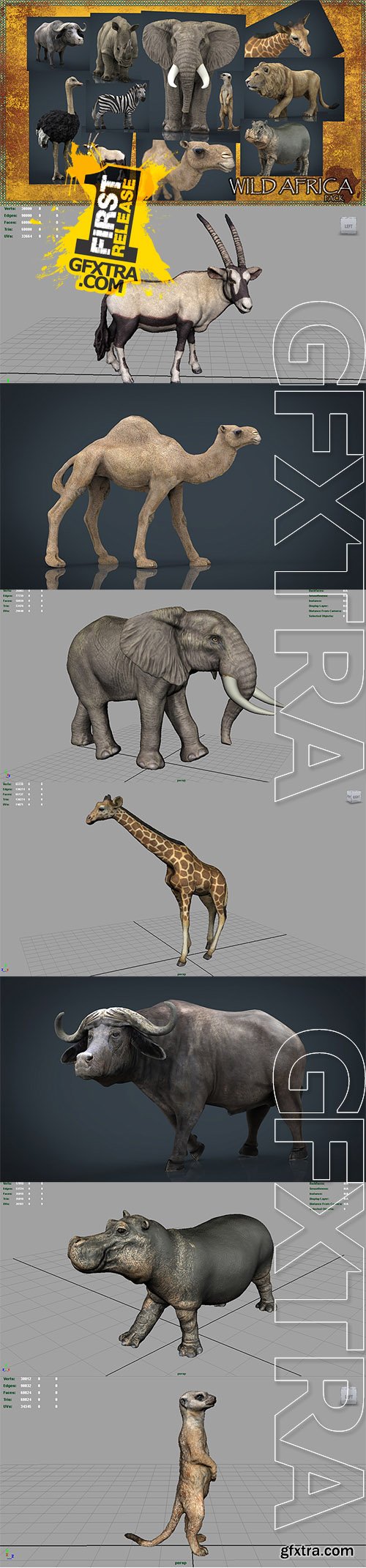 Cubebrush - WILD AFRICA PACK