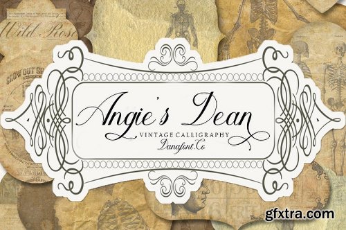 CreativeMarket Angie\'s Dean 2861558