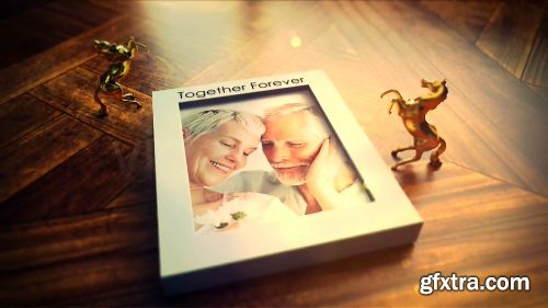 Videohive Image Gallery 3627203