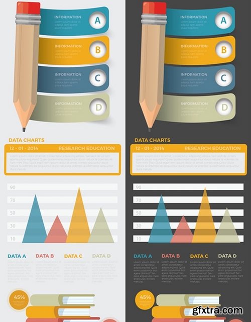 Education Infographics Design