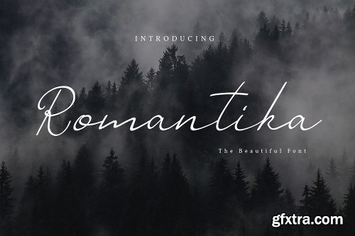 CreativeMarket Romantika Font 2386379