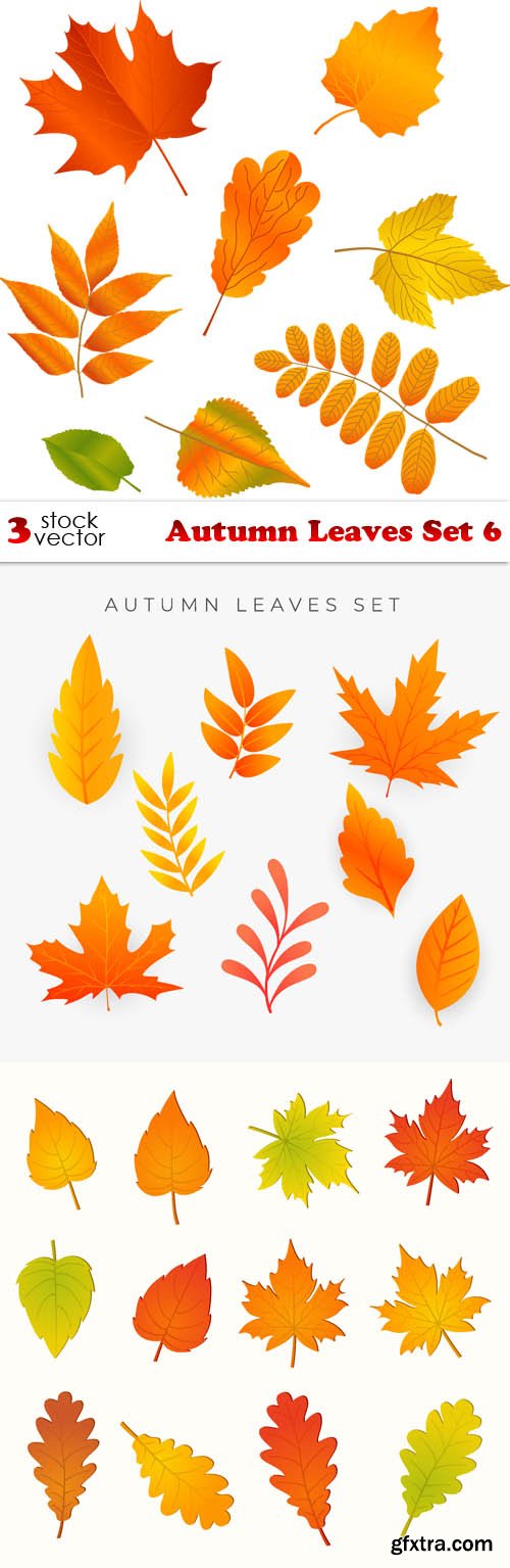 Vectors - Autumn Leaves Set 6