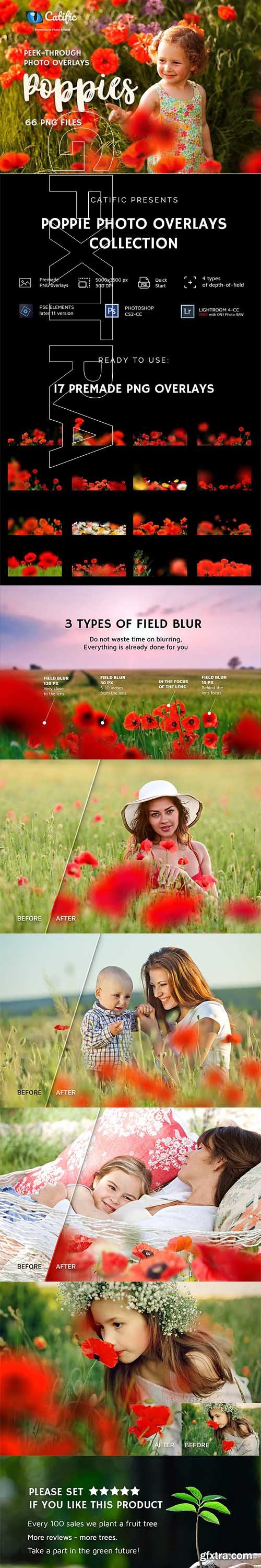 CreativeMarket - 17 Poppie Flowers Photo Overlays 3019394