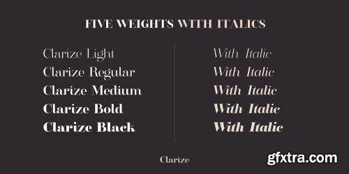 Clarize Font Family - 10 Fonts