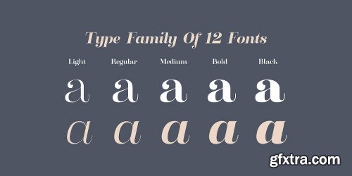 Clarize Font Family - 10 Fonts