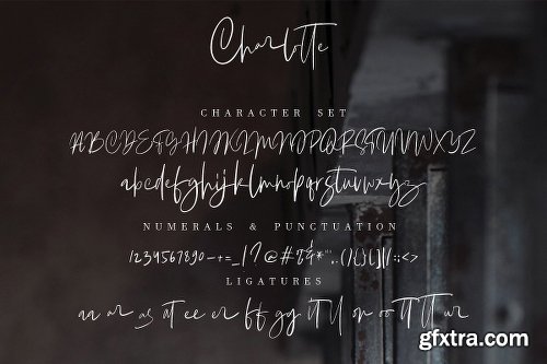 CreativeMarket Charlotte | Handwritten Font 2993745