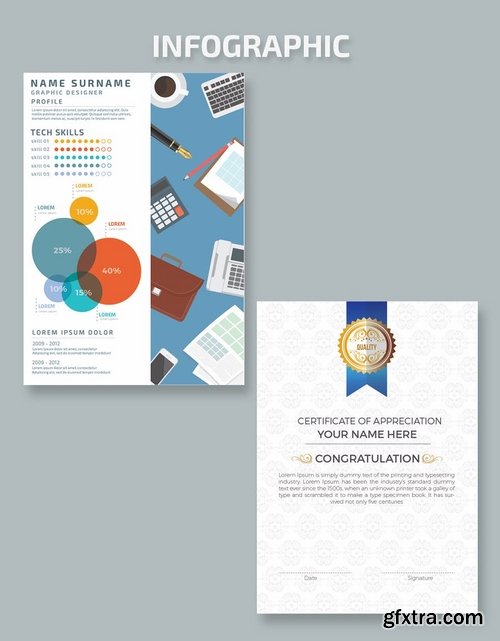 Resume Infographics Design