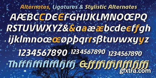 Starry Eyed Font Family - 2 Fonts