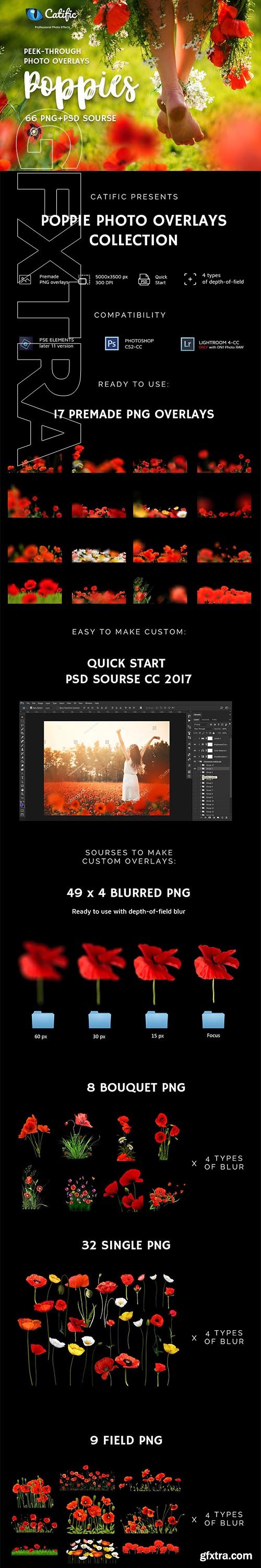 CreativeMarket - 66+ Poppie Flowers Photo Overlays 3019112