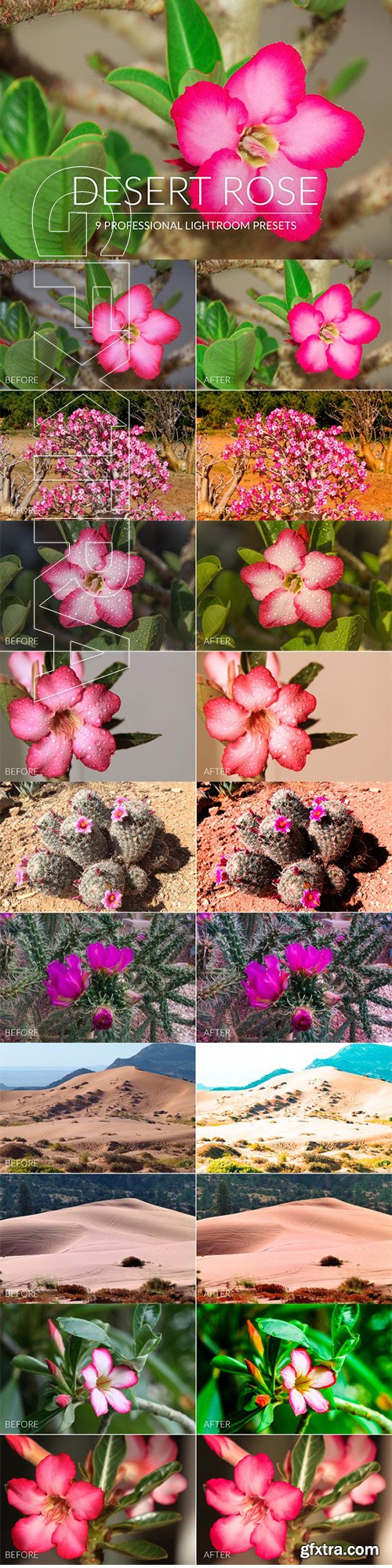 Desert Rose Lr Presets