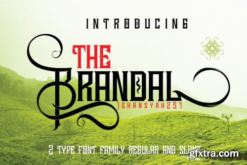 The Brandals Font Family - 2 Fonts