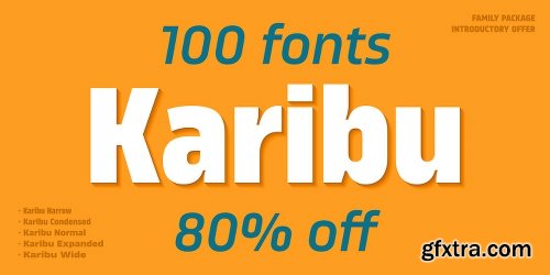 Karibu Font Family - 100 Fonts