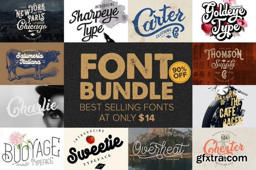 10+ Best-Selling Premium Fonts