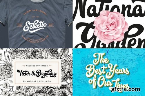 10+ Best-Selling Premium Fonts