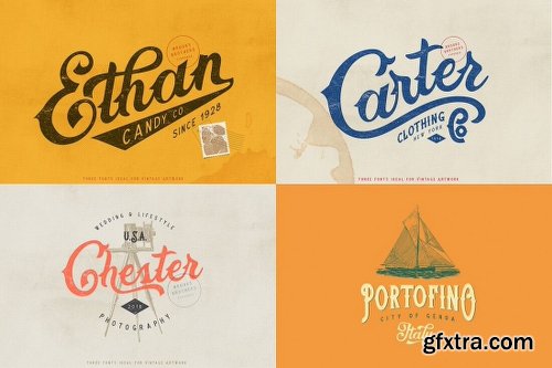 10+ Best-Selling Premium Fonts