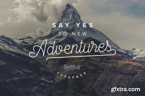 10+ Best-Selling Premium Fonts