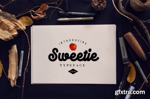 10+ Best-Selling Premium Fonts