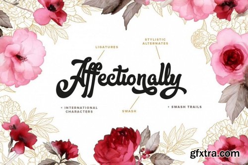 10+ Best-Selling Premium Fonts