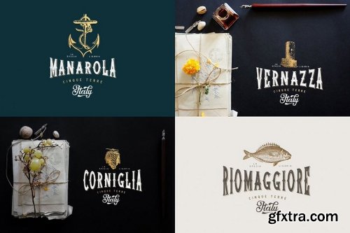 10+ Best-Selling Premium Fonts