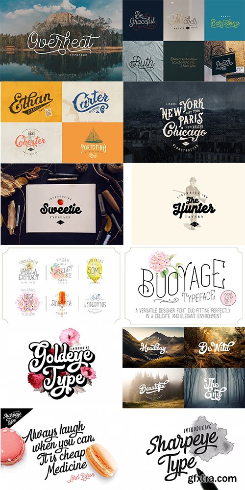 10+ Best-Selling Premium Fonts