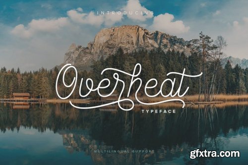 10+ Best-Selling Premium Fonts