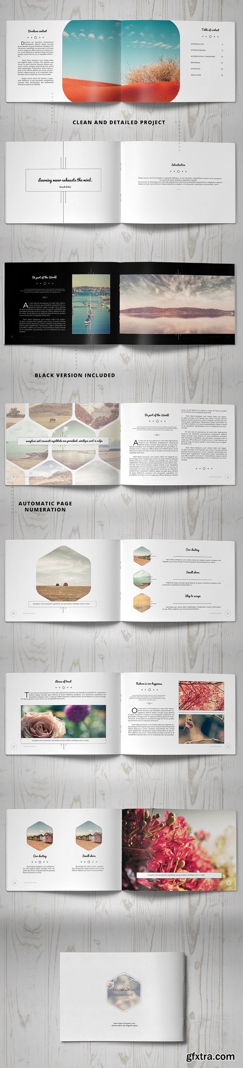 CM - Multipurpose Clean Brochure 169575