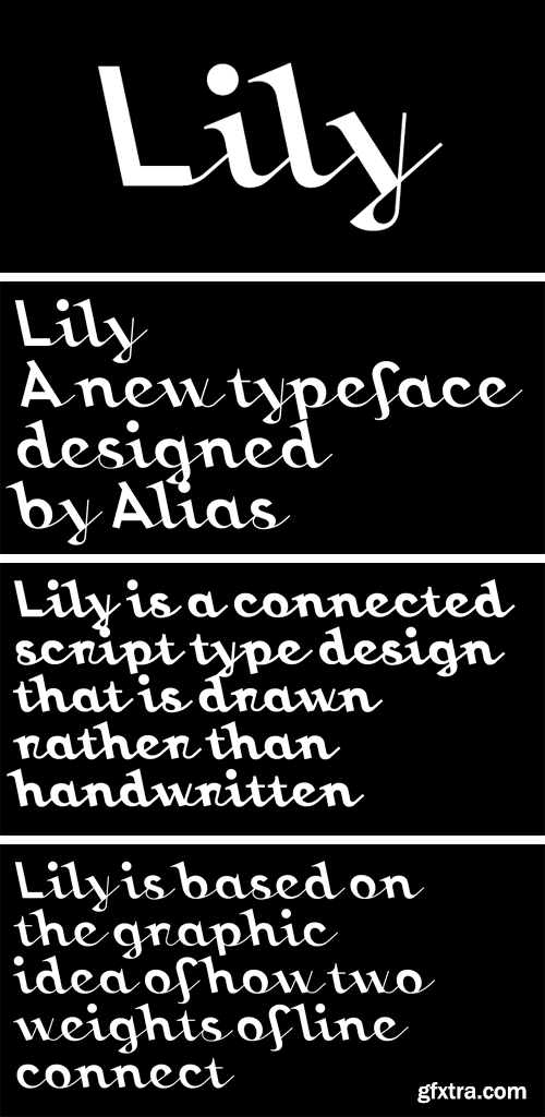 Lily Font Family