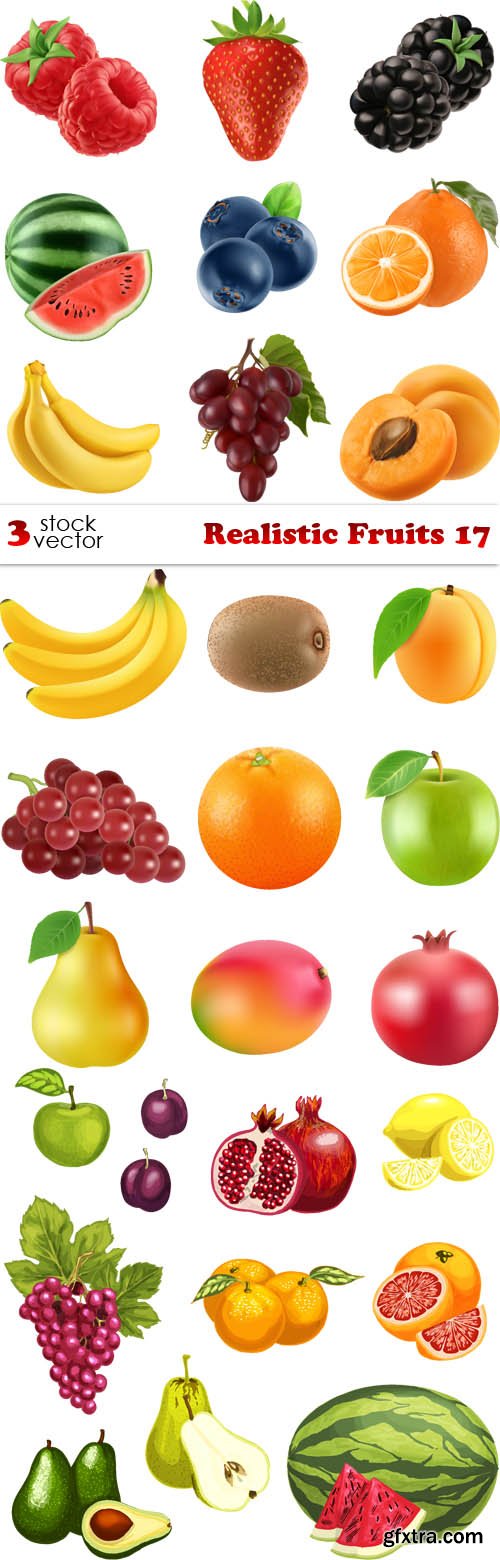 Vectors - Realistic Fruits 17