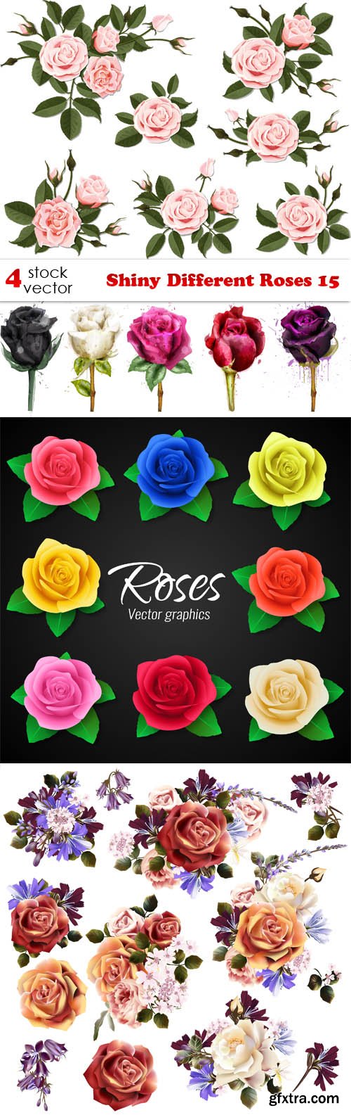 Vectors - Shiny Different Roses 15