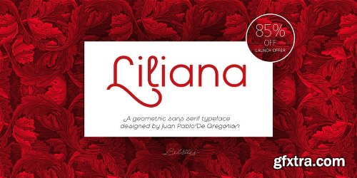 Liliana Font Family - 18 Fonts