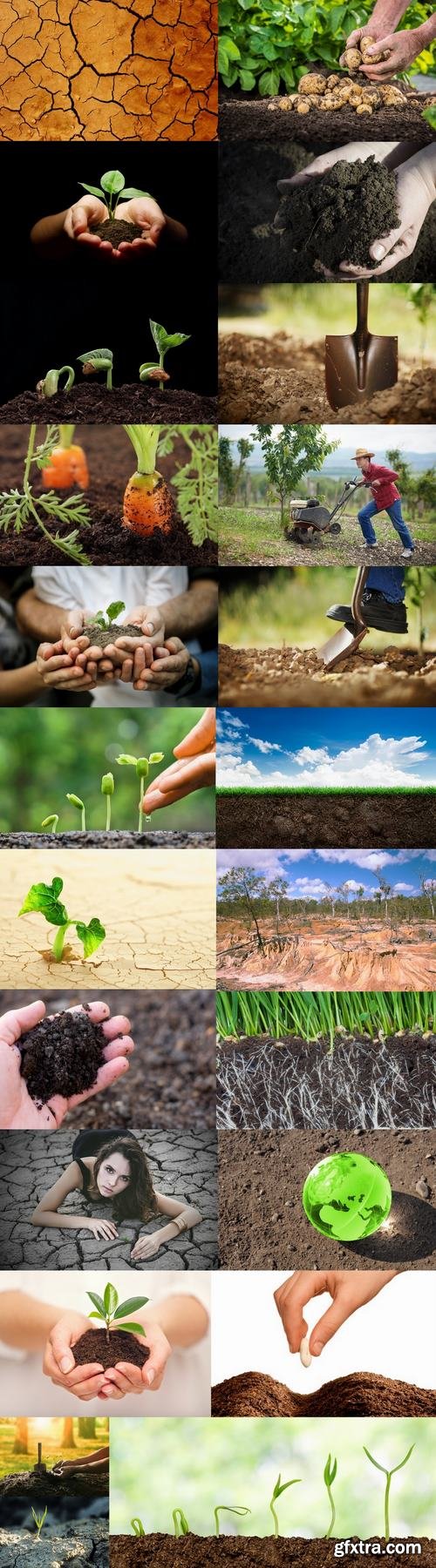 Soil land agriculture plant sprout shoot 25 HQ Jpeg