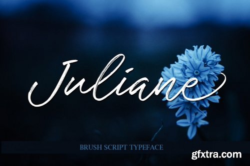 26 Fabulous Scripts Fonts