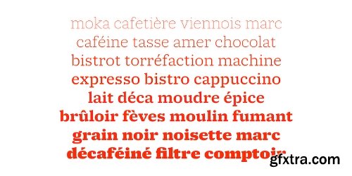 Molto Font Family - 9 Fonts