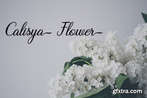 Magnolia Font