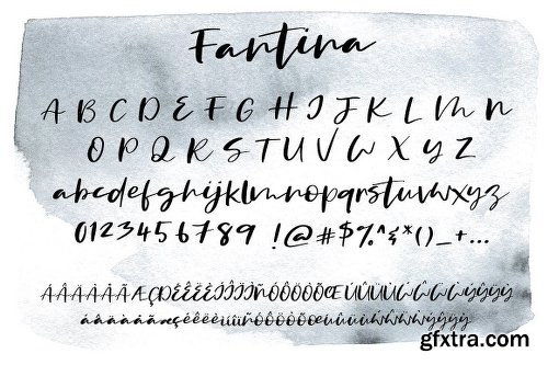 CreativeMarket New! Fantina Script Font 2573625